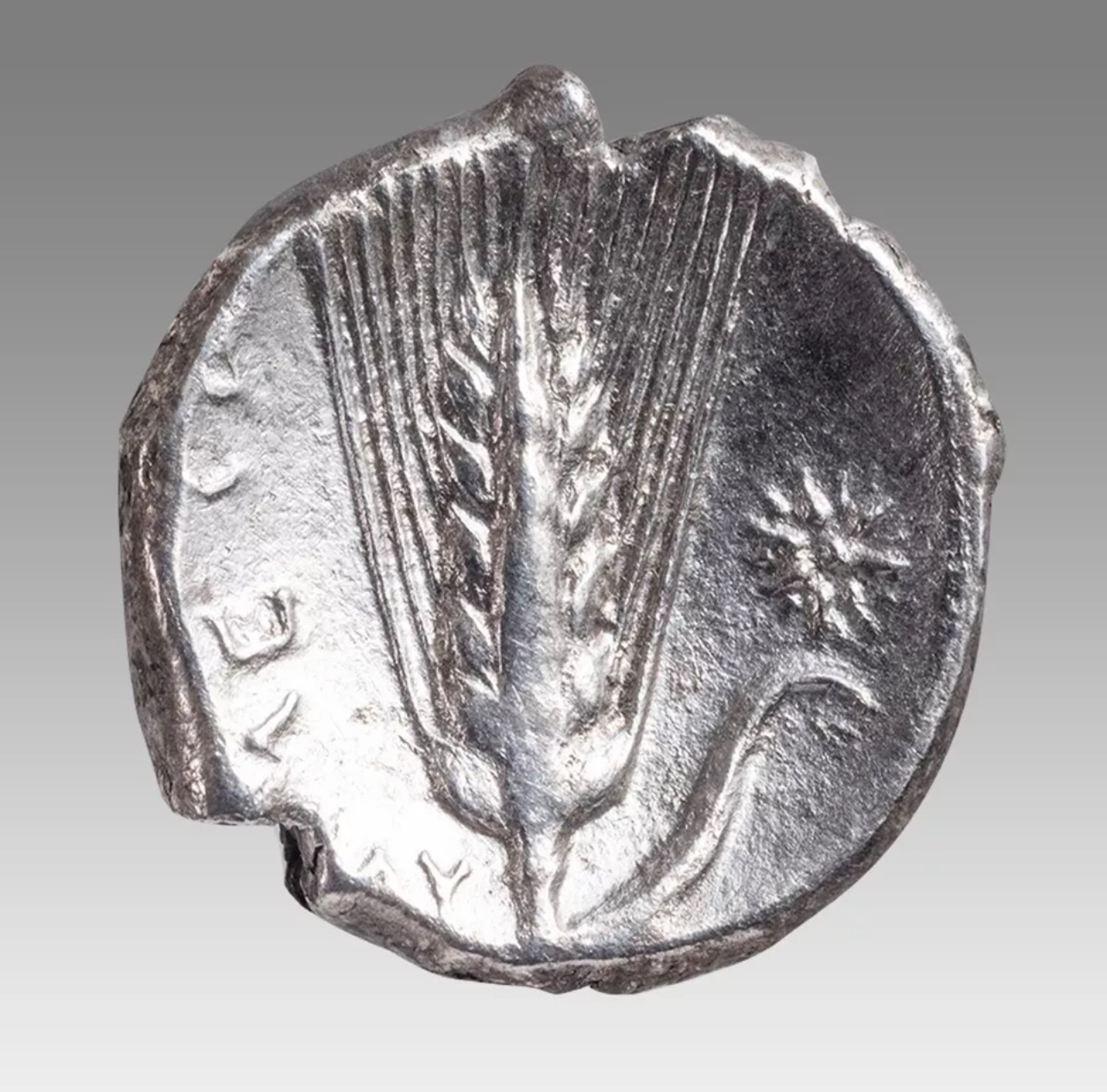 LUCANIA, Metapontion. Circa 330-290 BC. AR Nomos (22mm, 7.53 gm). - Image 2